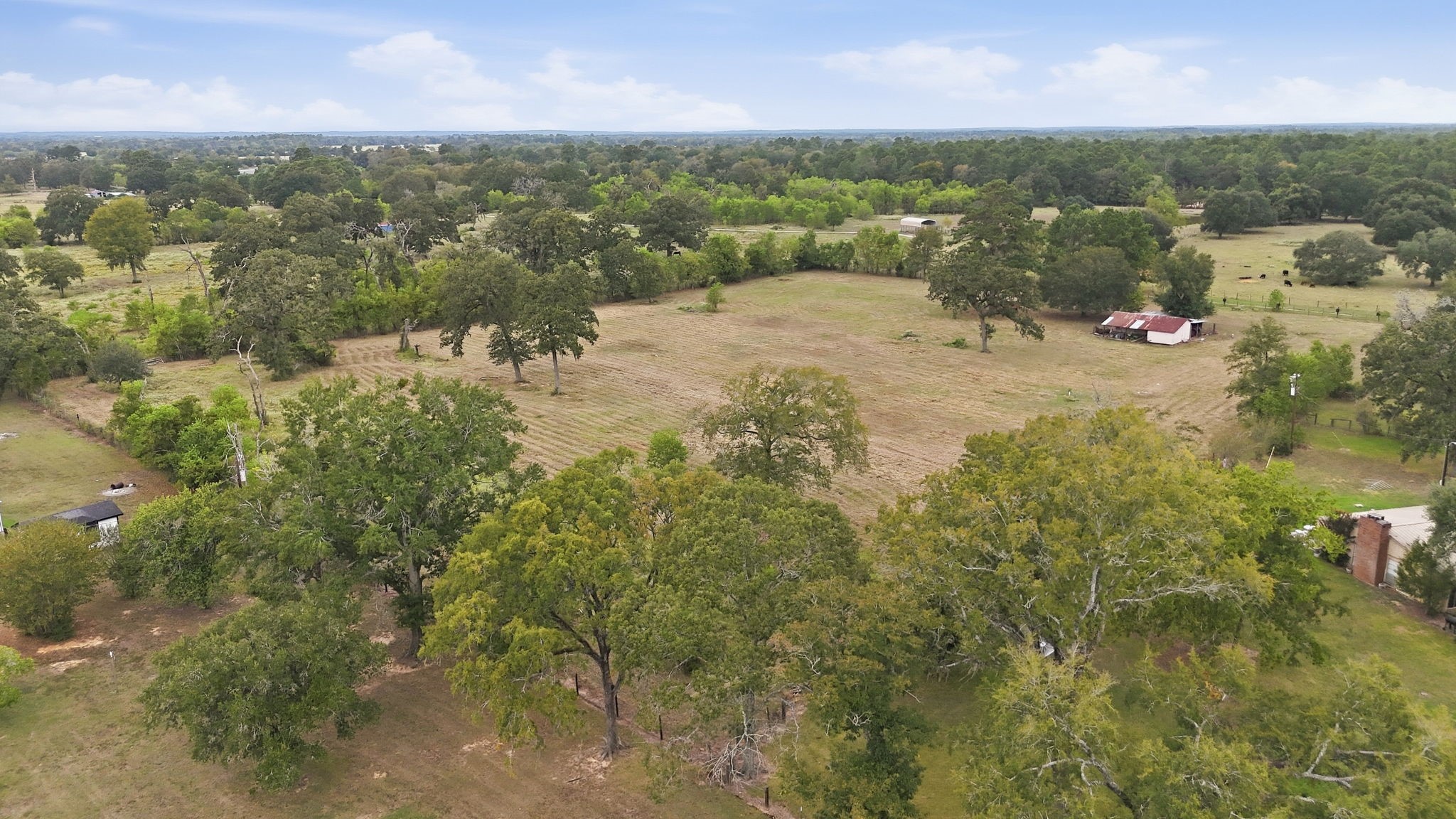 29229 Sheffield Road Property Photo 11