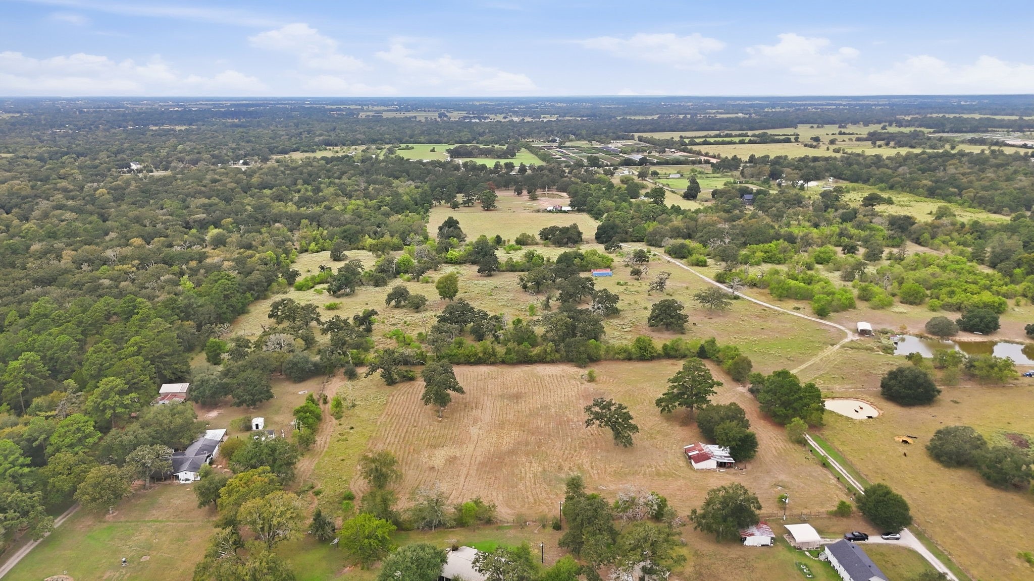 29229 Sheffield Road Property Photo 14