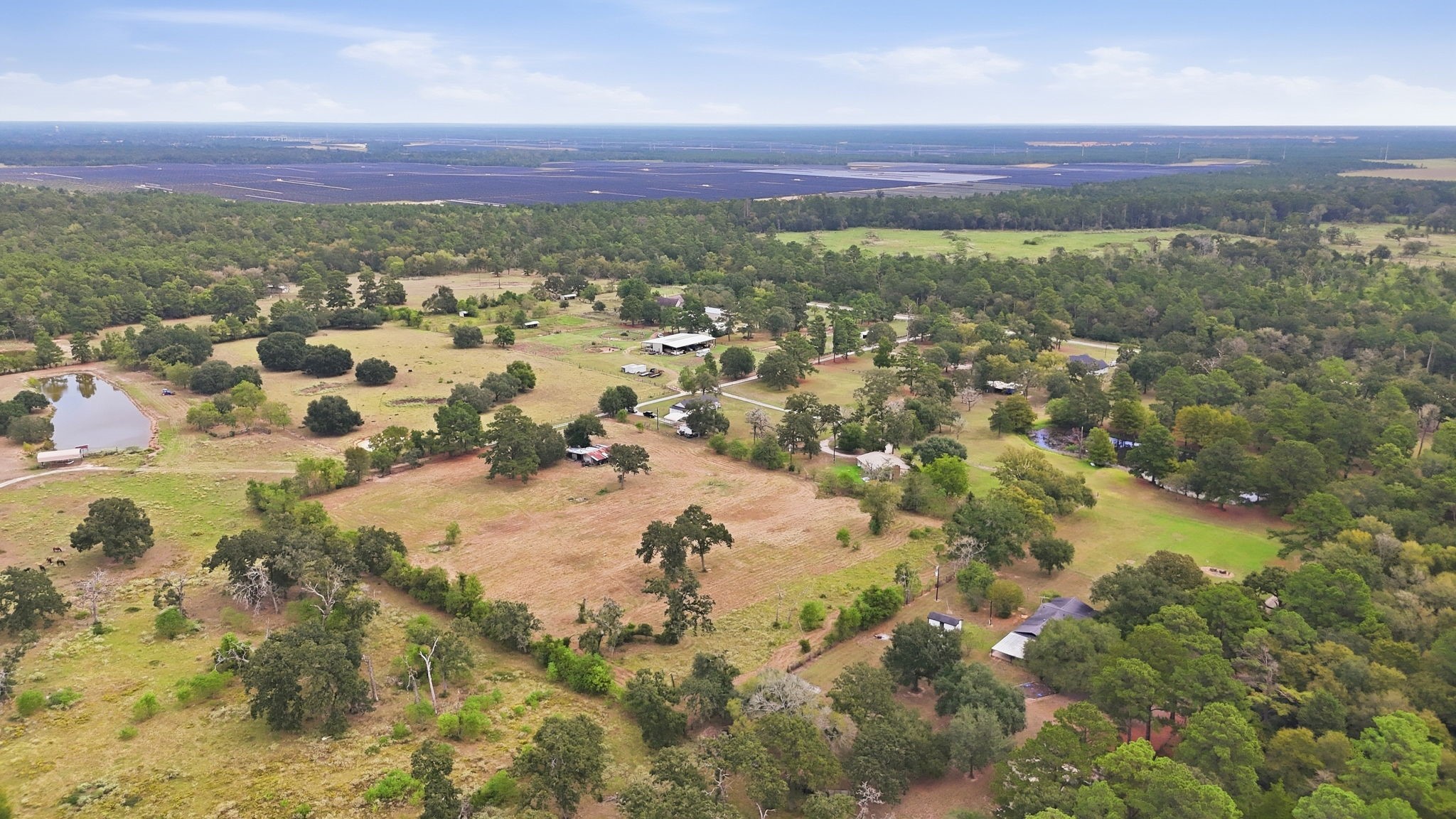 29229 Sheffield Road Property Photo 17