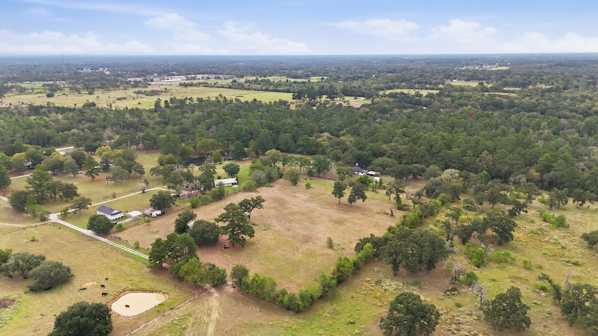 29229 Sheffield Road Property Photo 19