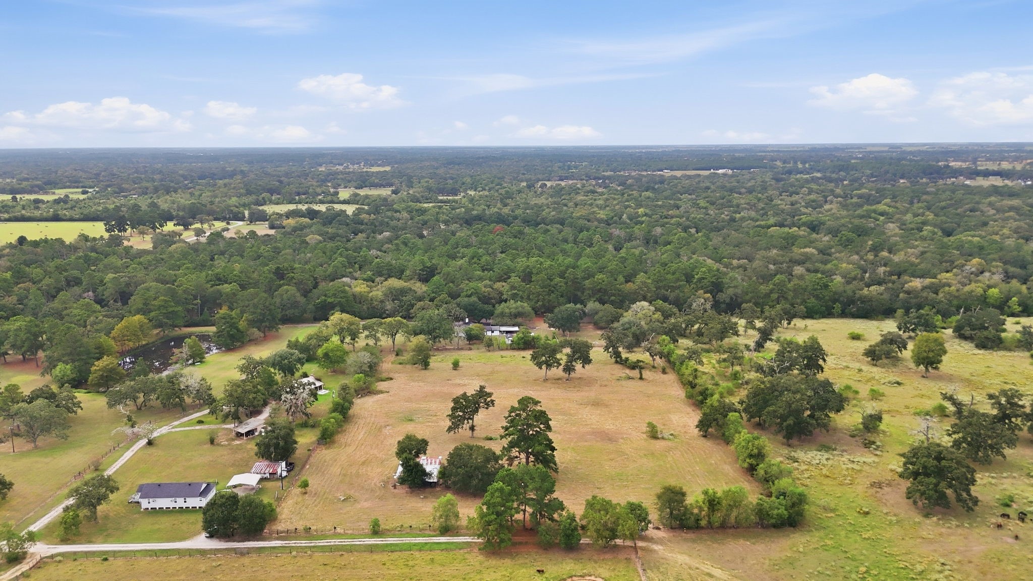 29229 Sheffield Road Property Photo 20