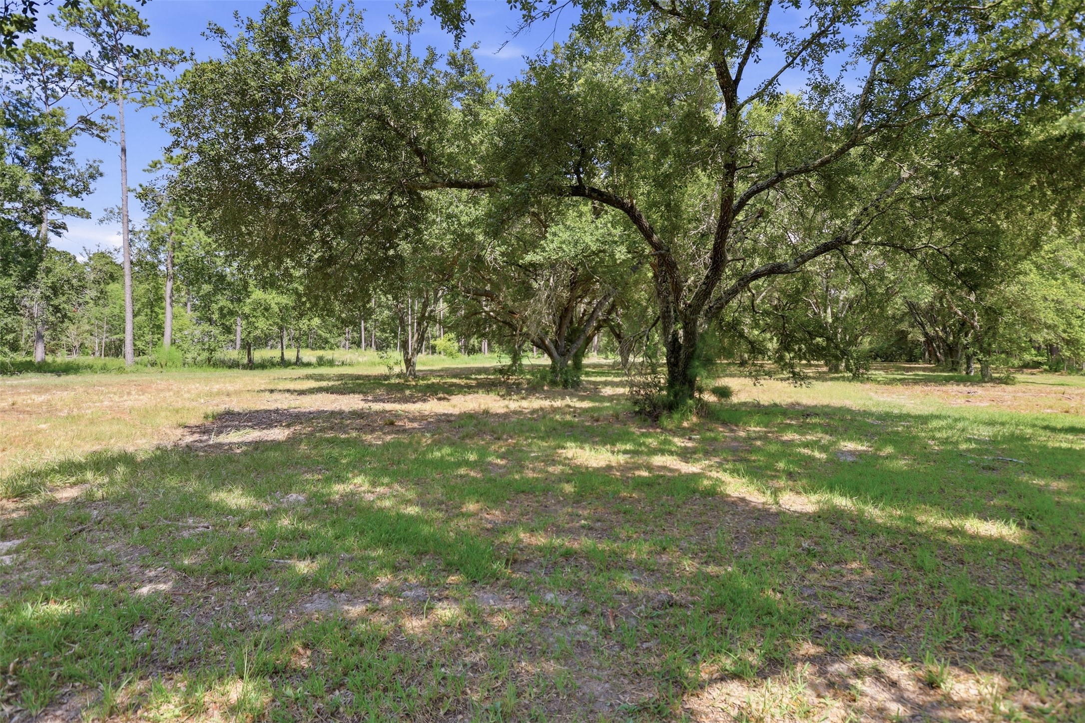 18126 Quail Run Cir Property Photo 16