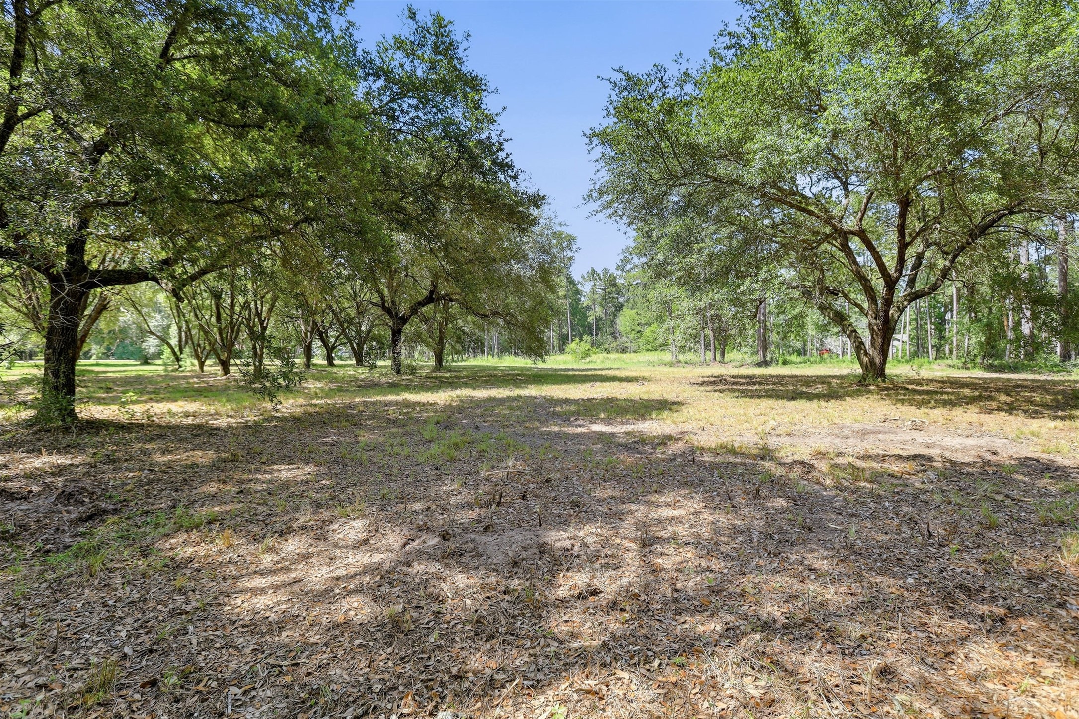 18126 Quail Run Cir Property Photo 17