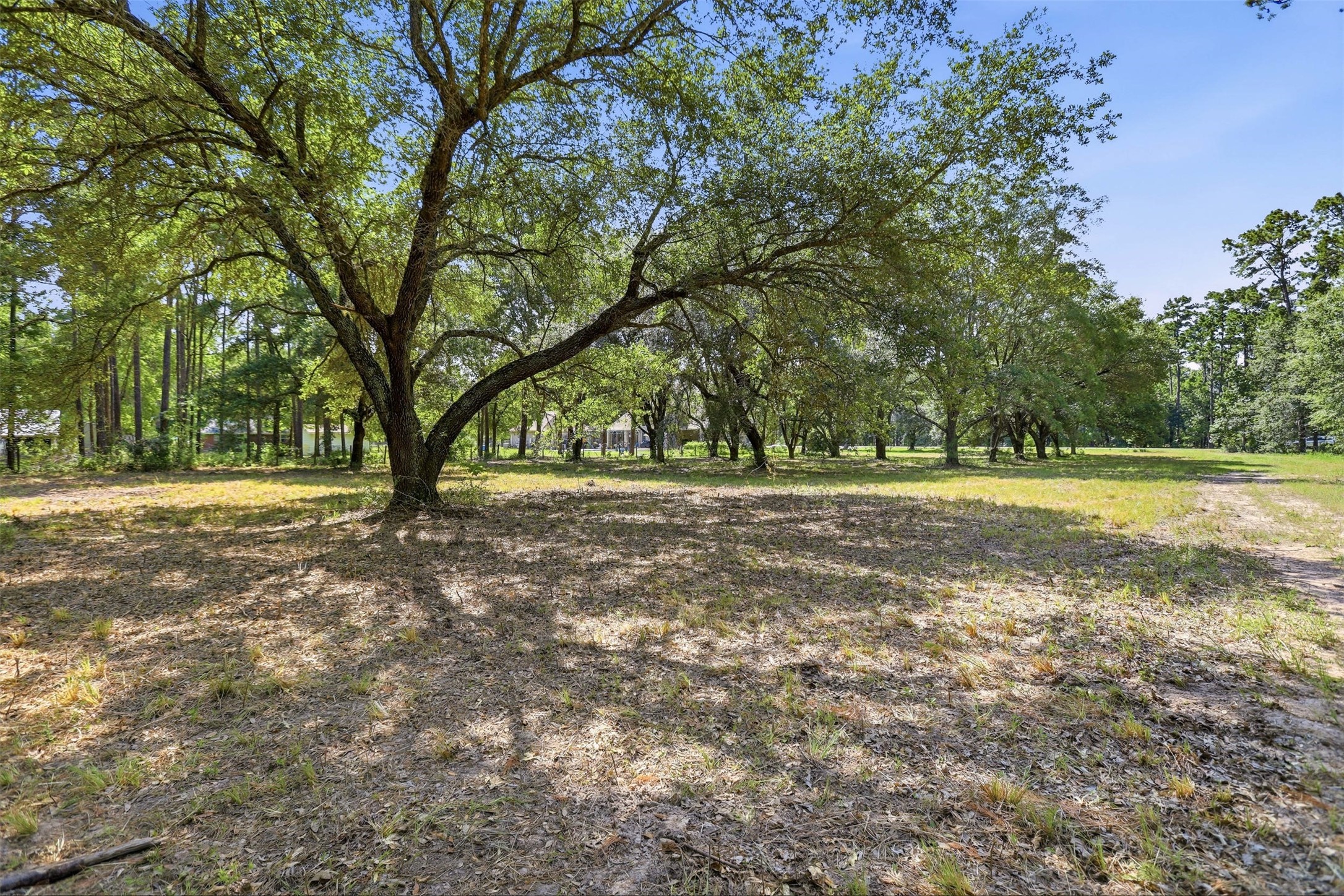 18126 Quail Run Cir Property Photo 19