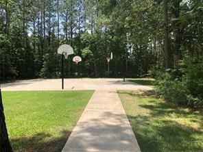 28200 Horse Shoe Lane Property Photo 6