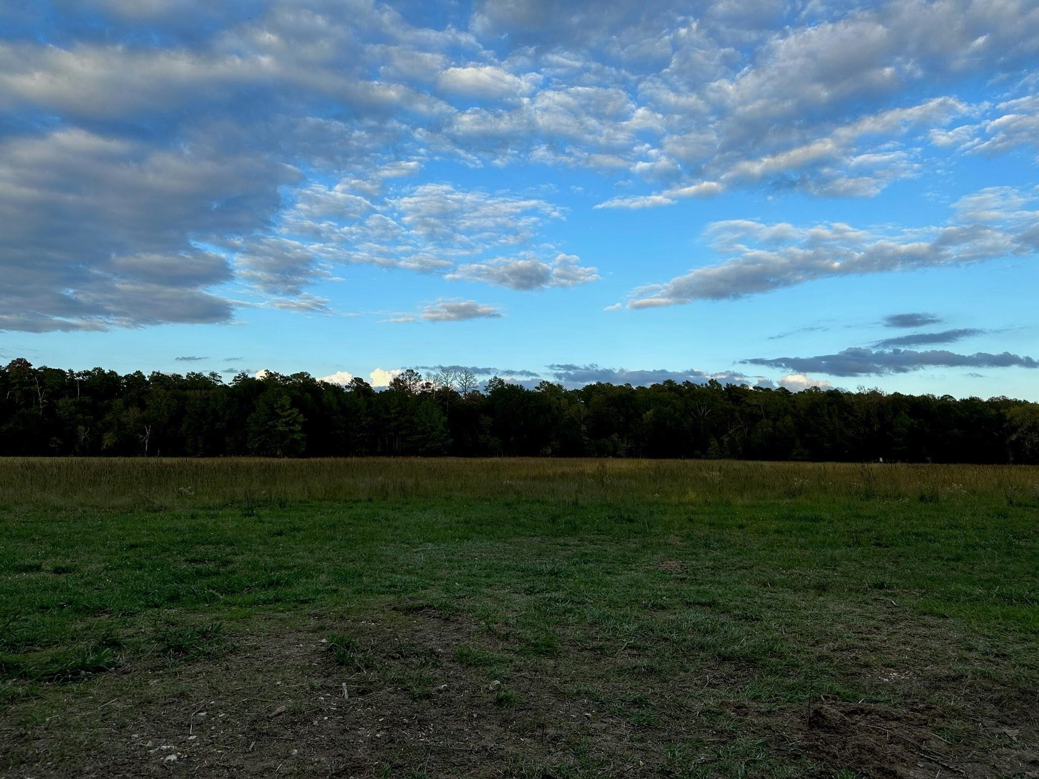 0000 Magee Bend Loop Property Photo 1