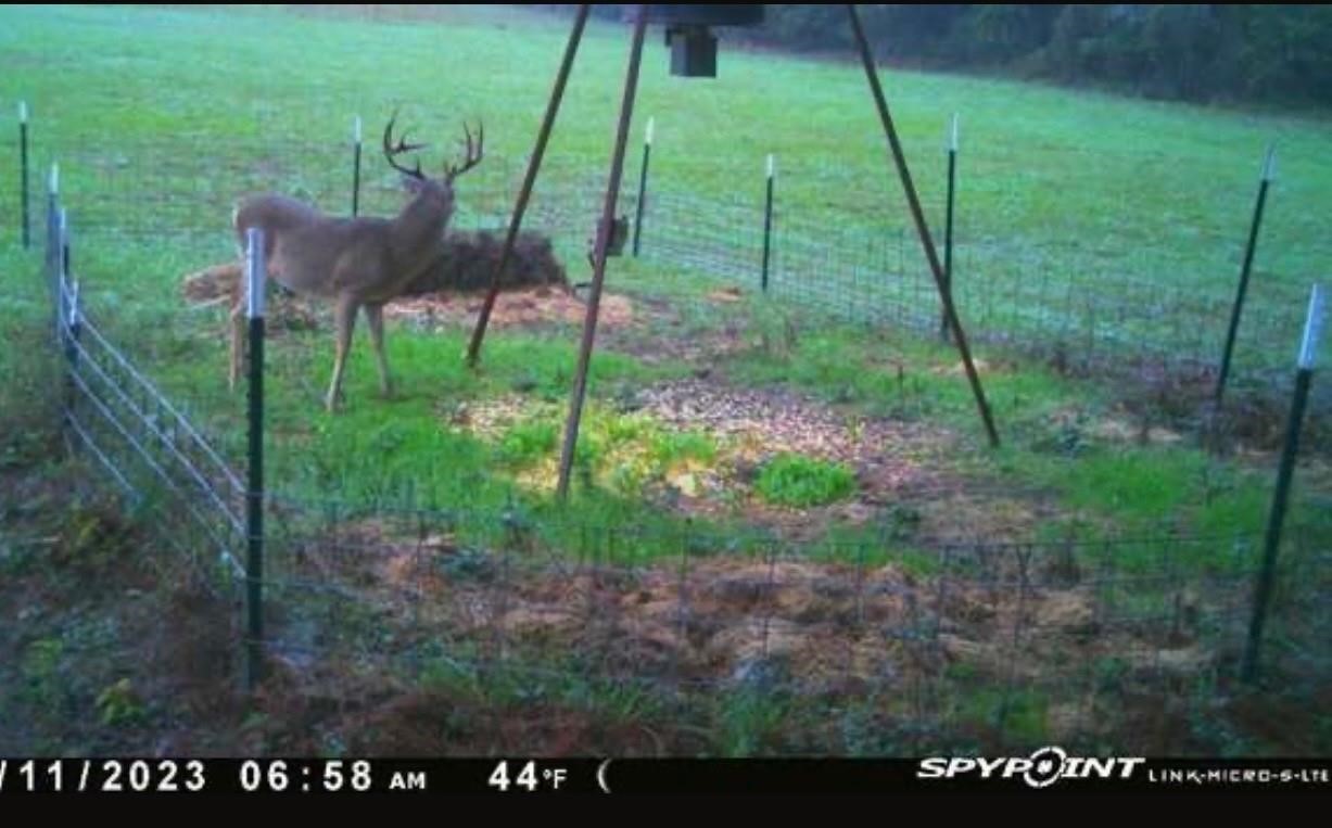 0000 Magee Bend Loop Property Photo 3
