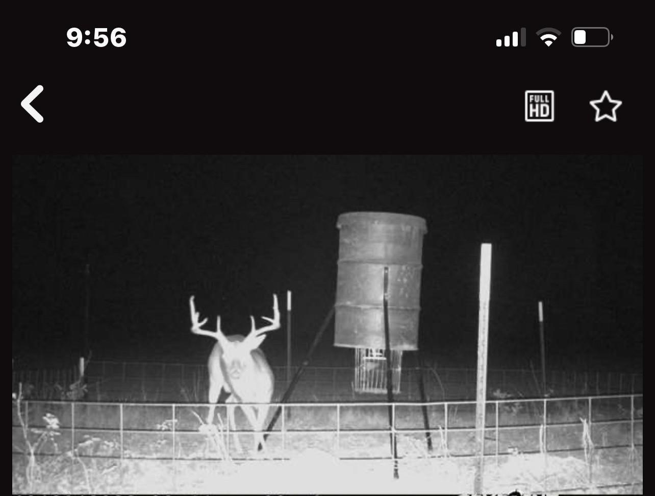 0000 Magee Bend Loop Property Photo 4