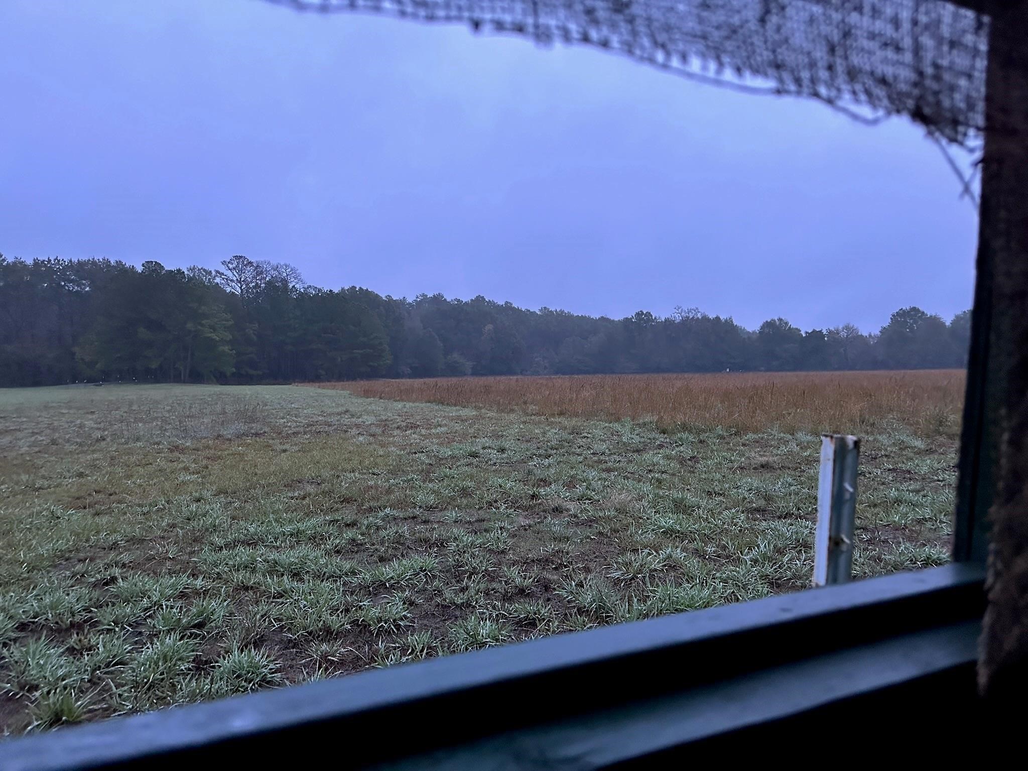 0000 Magee Bend Loop Property Photo 6
