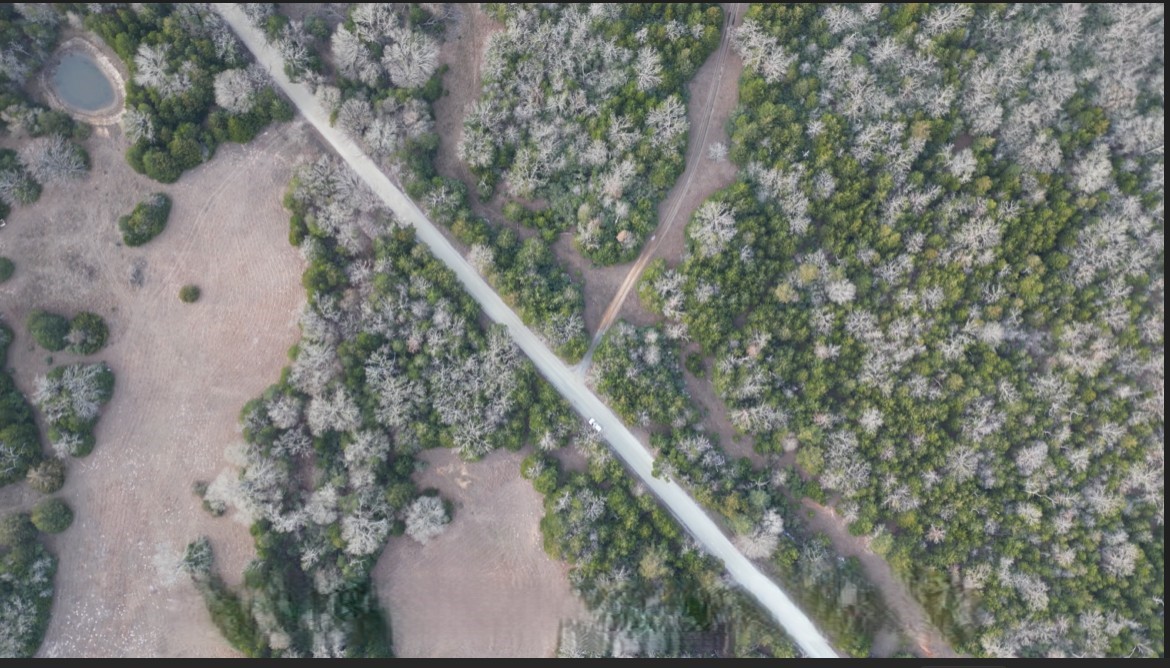 Tbd County Road 427 Property Photo 13