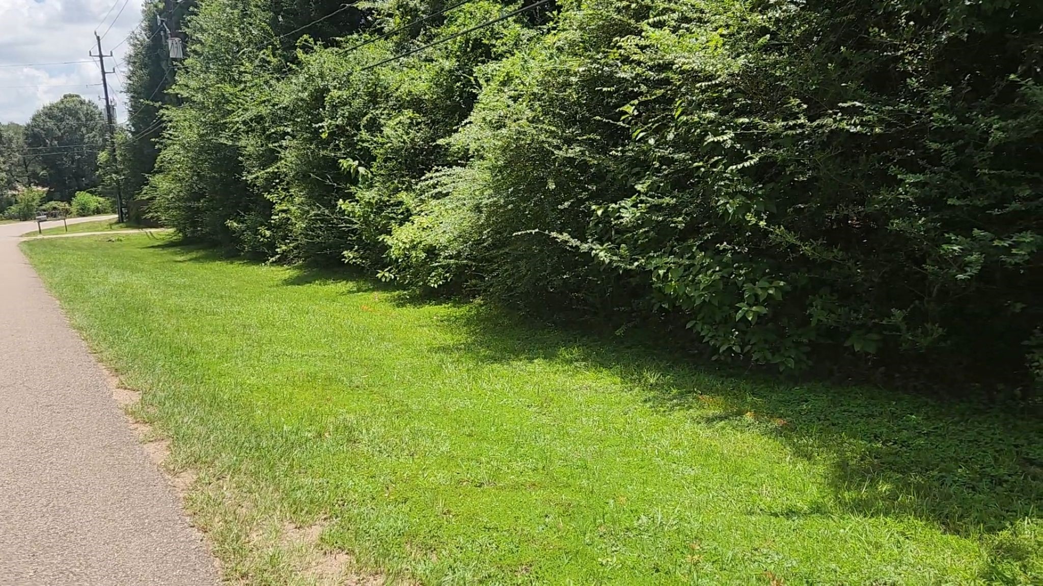 Tbd Terri Lane Property Photo 2