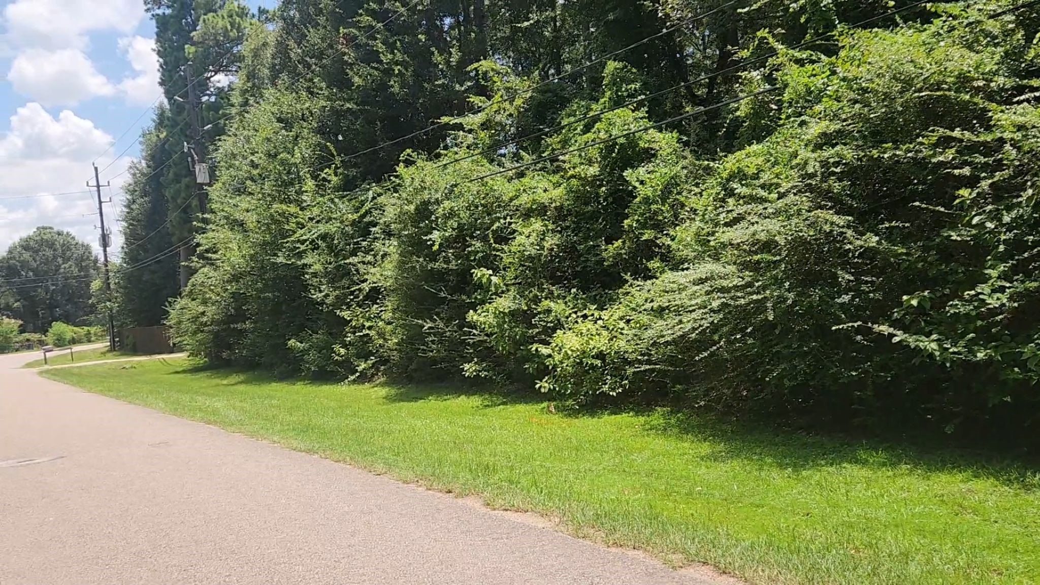 Tbd Terri Lane Property Photo 3