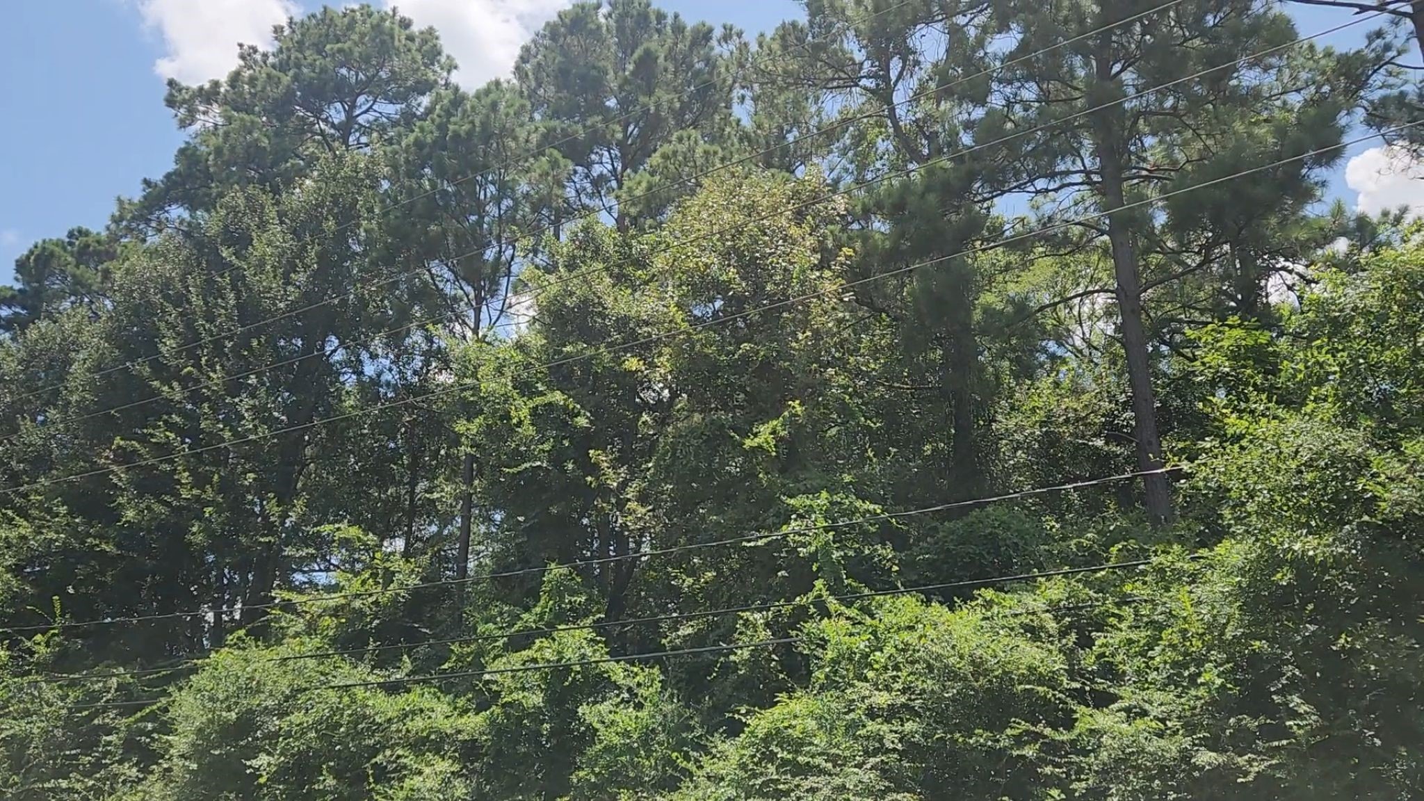 Tbd Terri Lane Property Photo 5