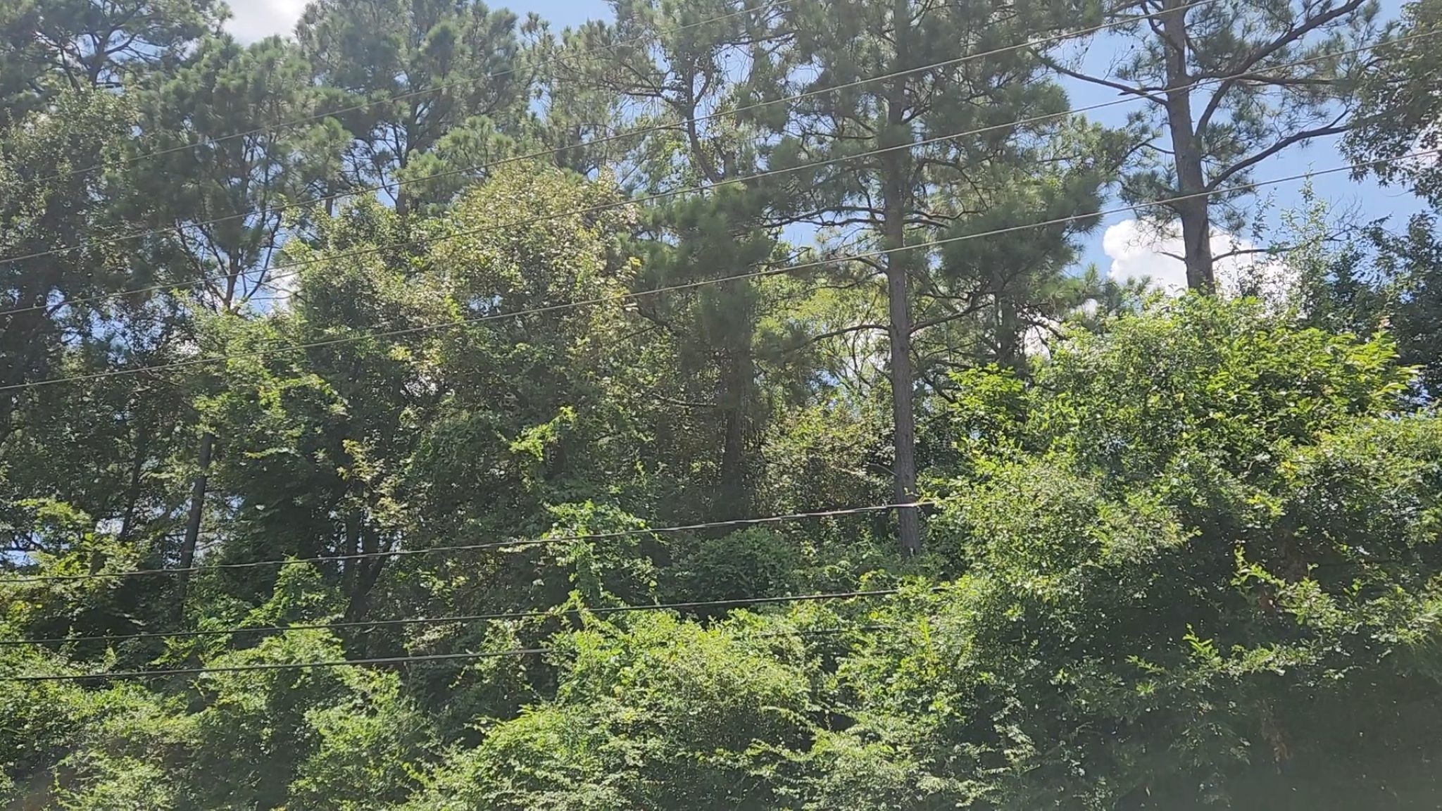 Tbd Terri Lane Property Photo 6