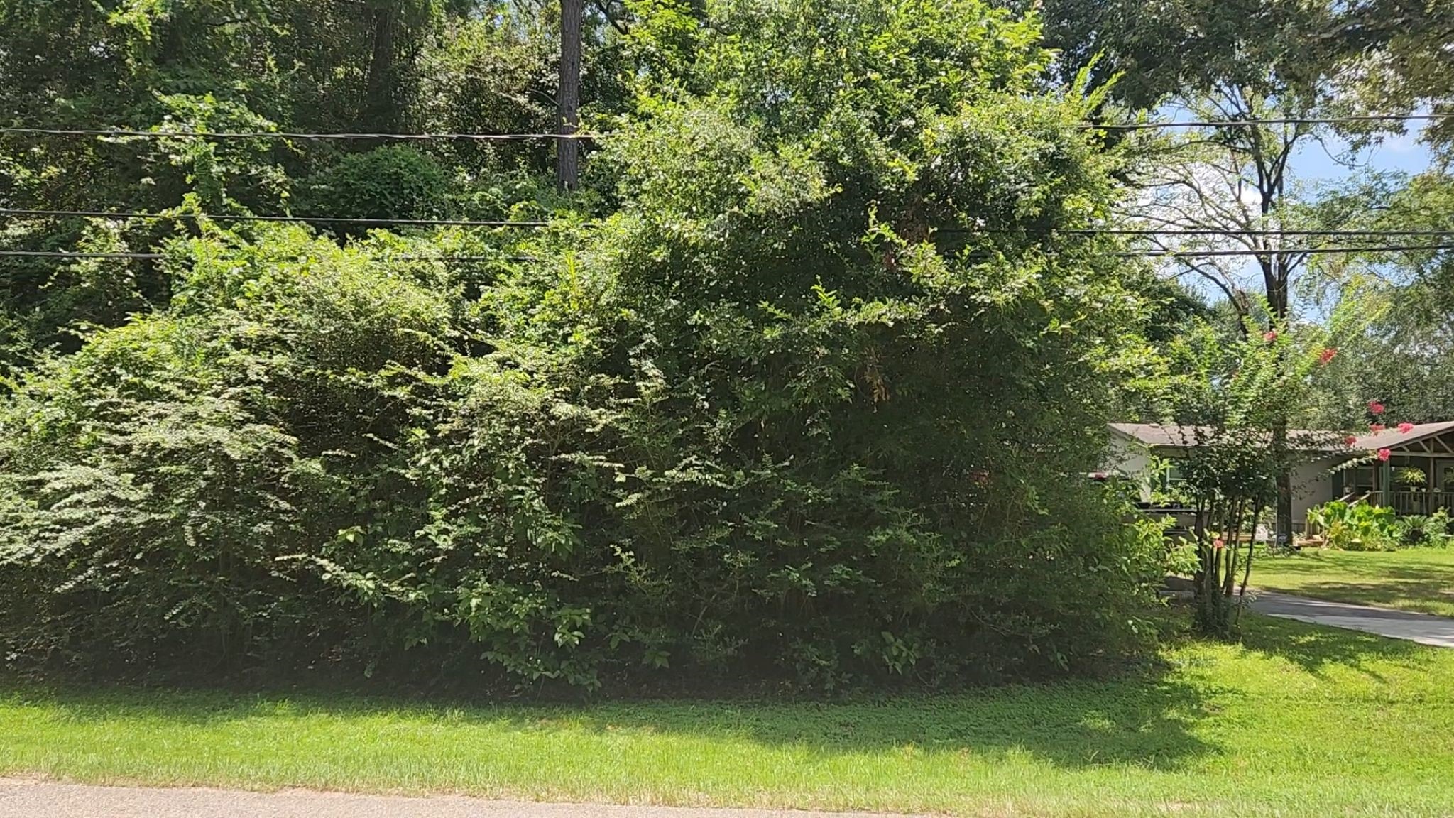 Tbd Terri Lane Property Photo 7