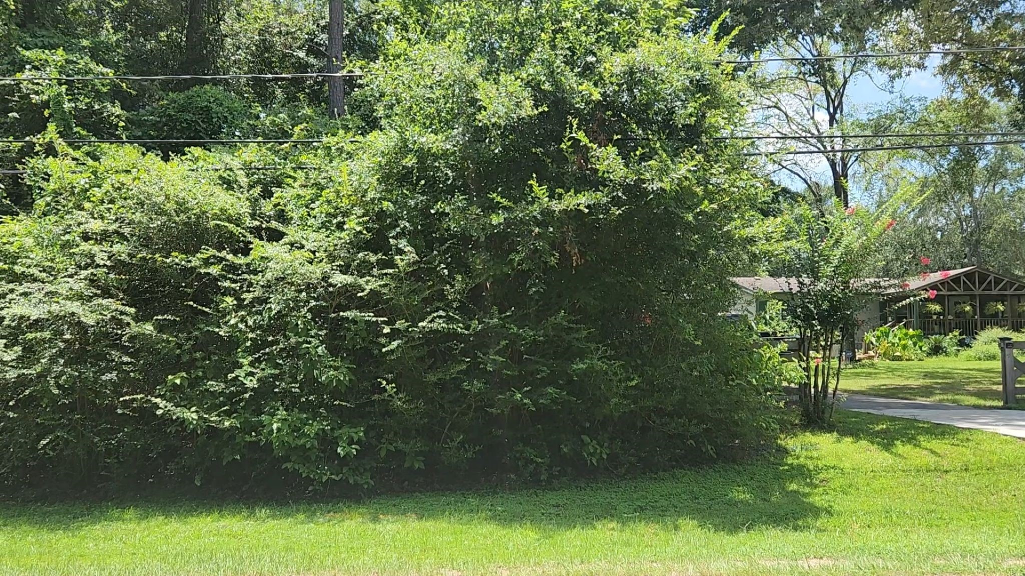 Tbd Terri Lane Property Photo 10