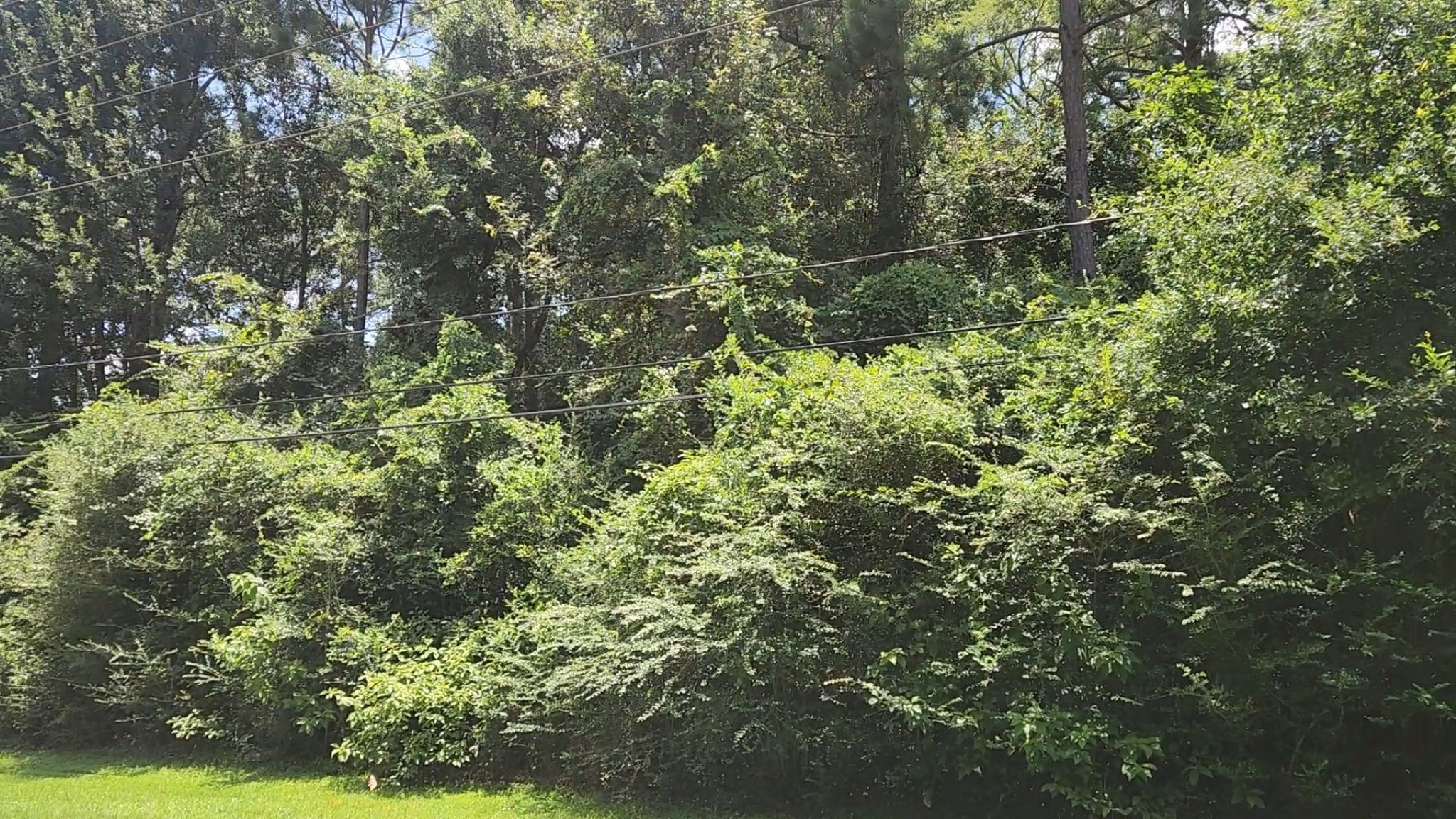 Tbd Terri Lane Property Photo 11