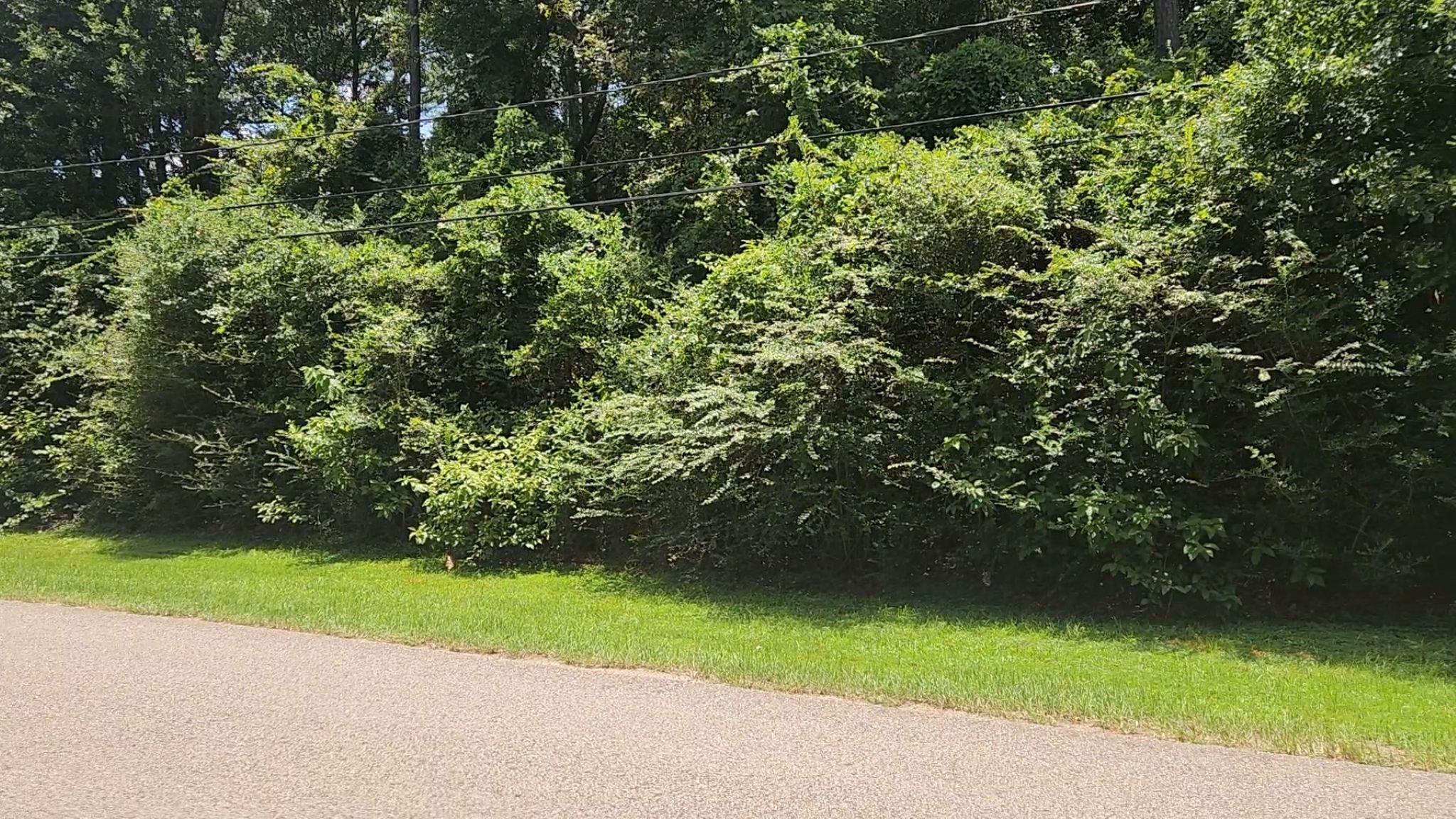 Tbd Terri Lane Property Photo 12