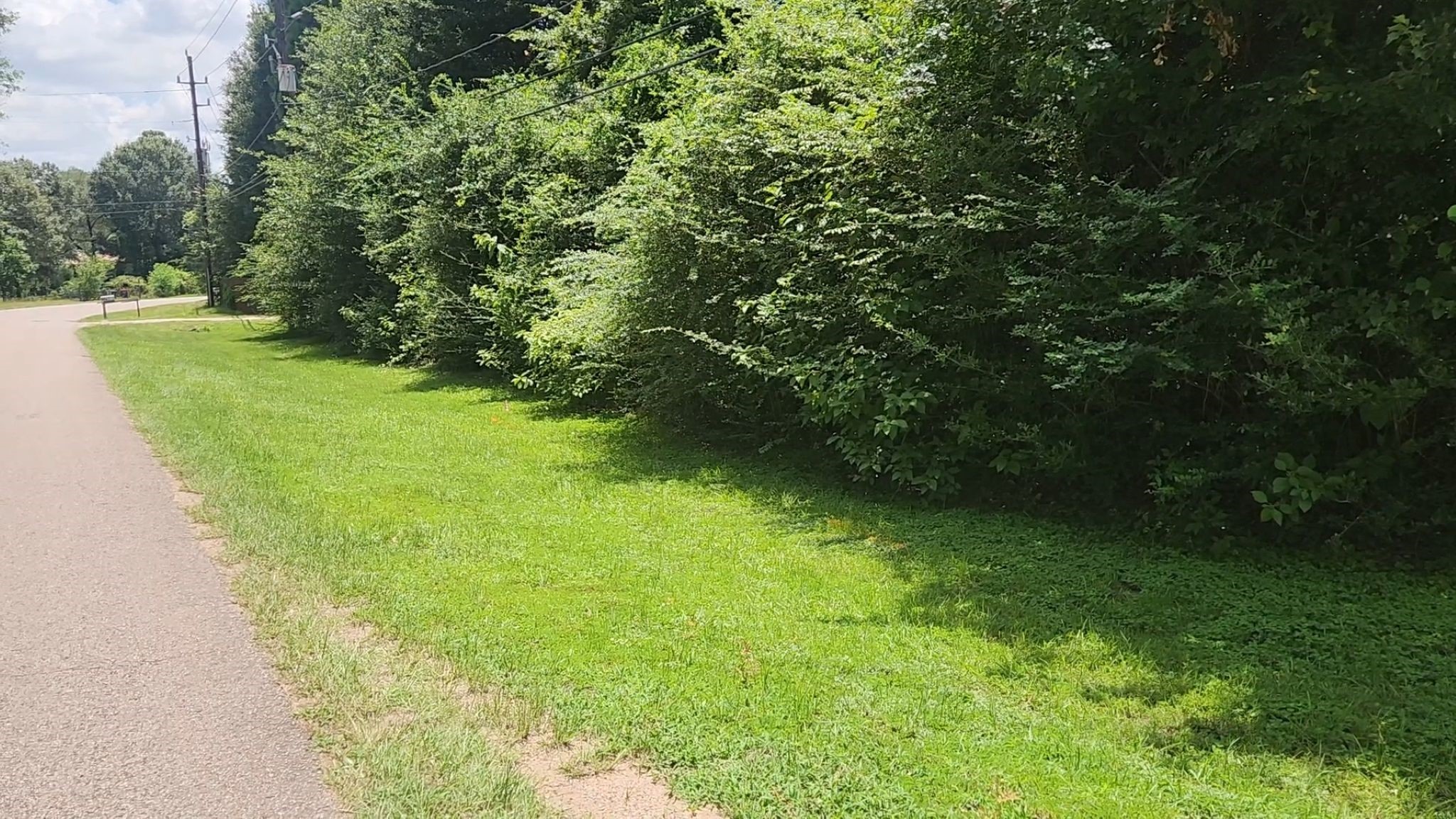 Tbd Terri Lane Property Photo 15