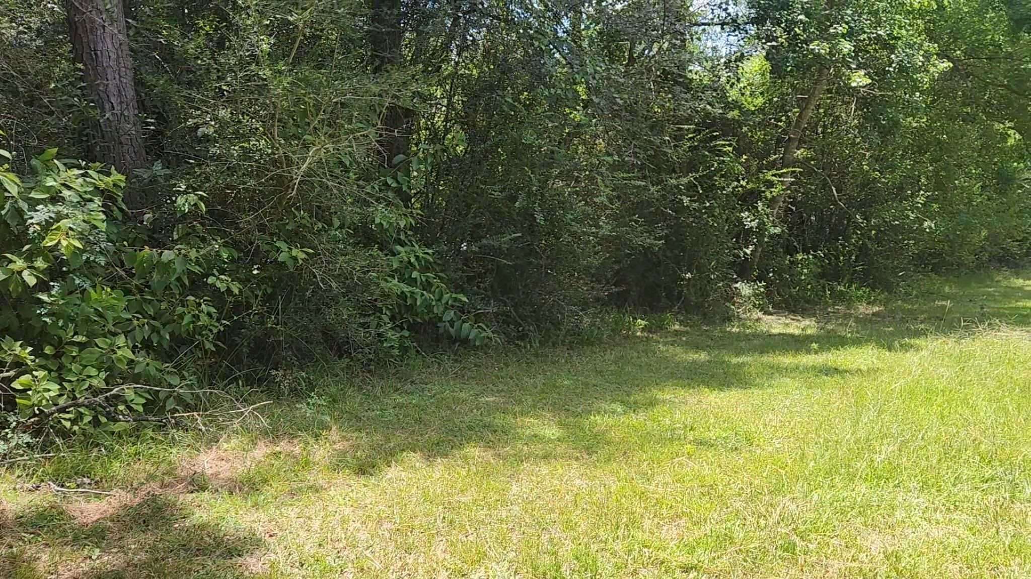 Tbd Terri Lane Property Photo 16