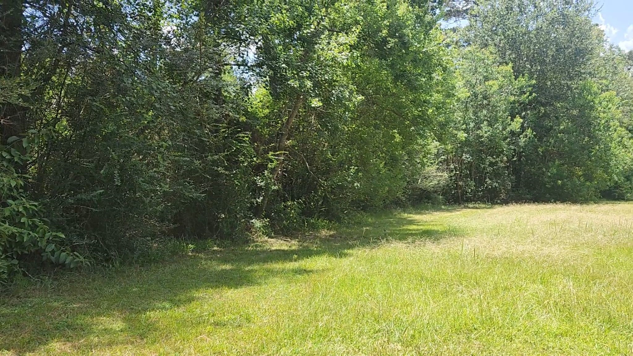 Tbd Terri Lane Property Photo 17