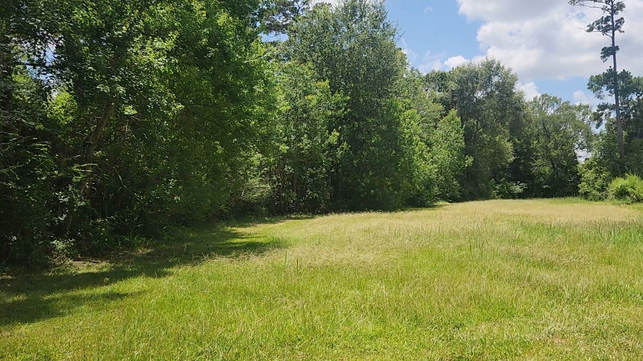 Tbd Terri Lane Property Photo 18