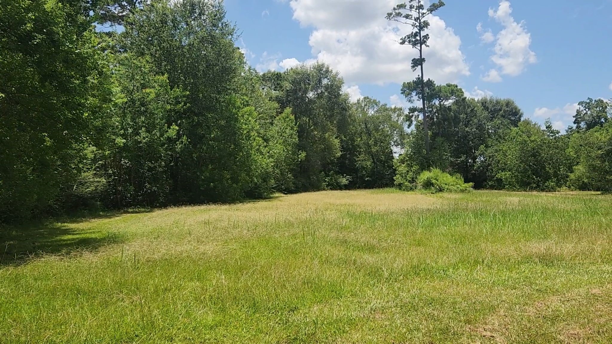 Tbd Terri Lane Property Photo 19