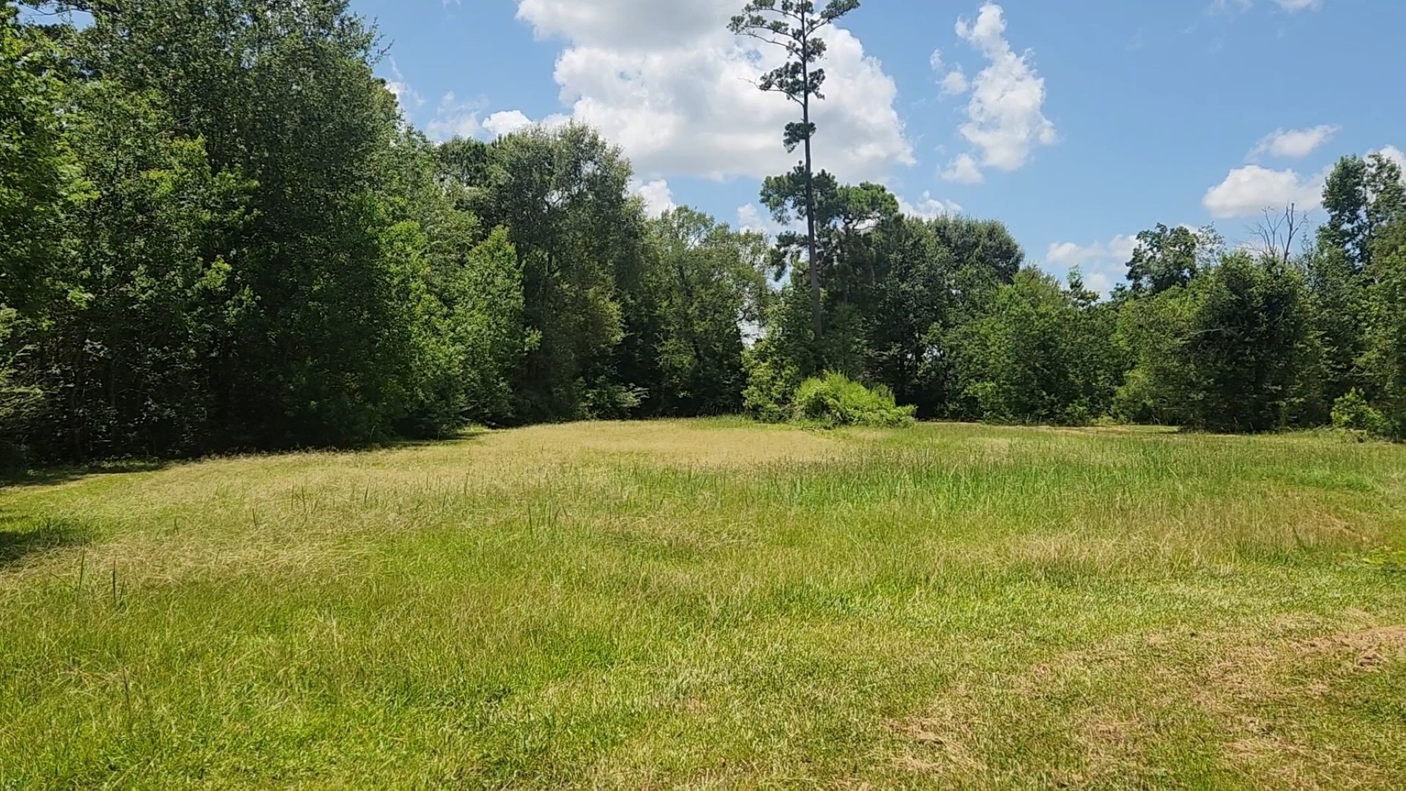 Tbd Terri Lane Property Photo 20