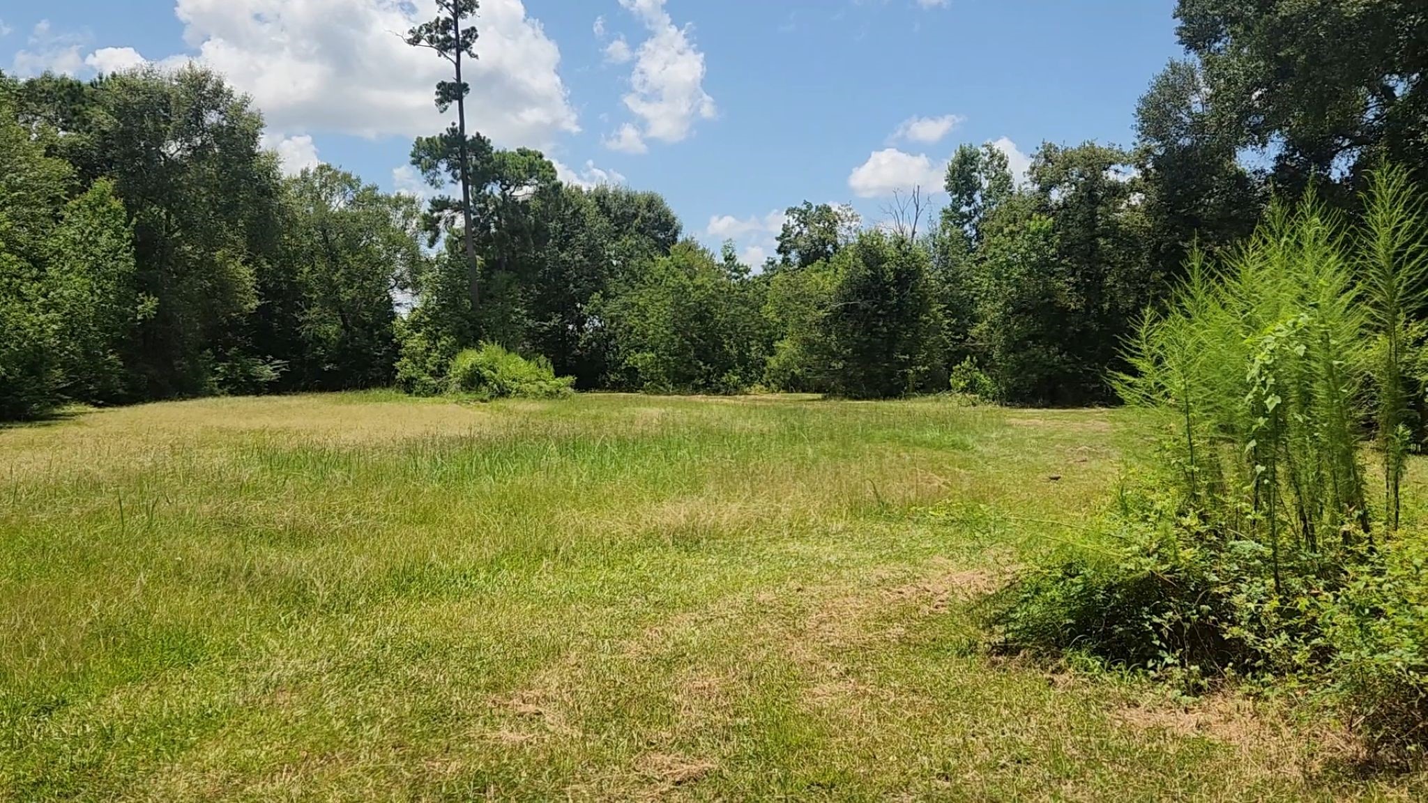 Tbd Terri Lane Property Photo 21