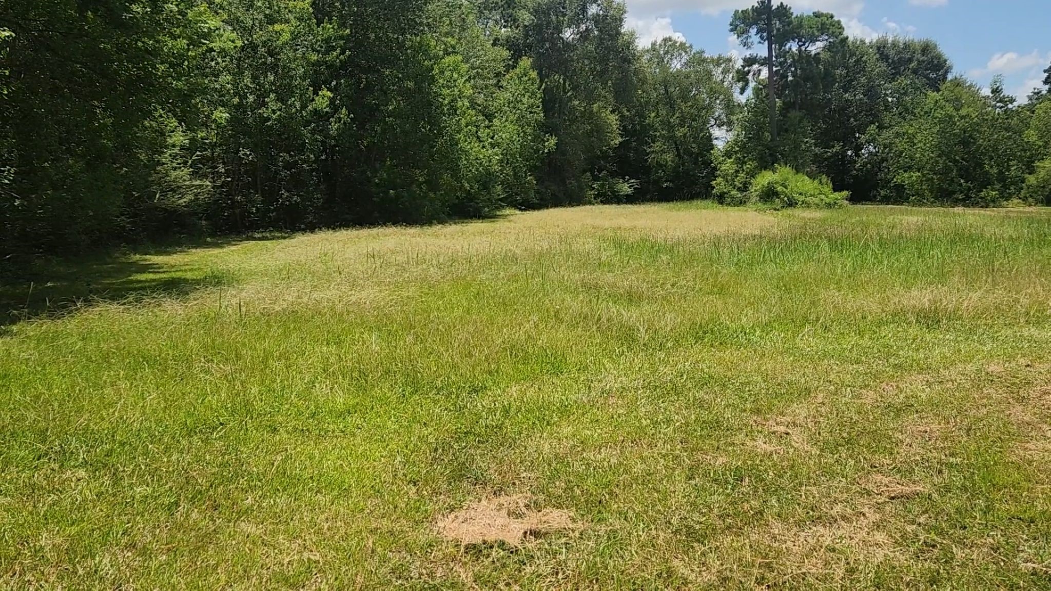 Tbd Terri Lane Property Photo 22