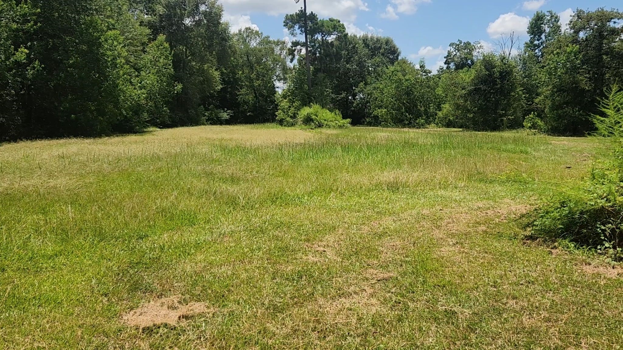 Tbd Terri Lane Property Photo 23
