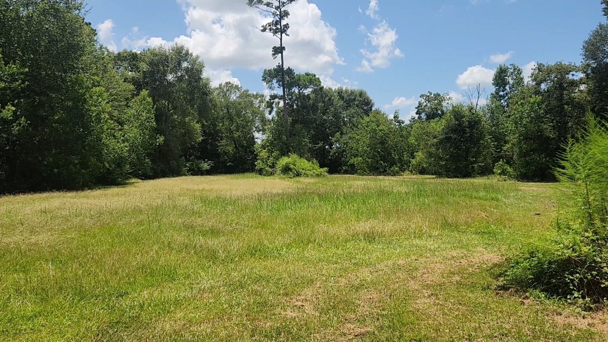 Tbd Terri Lane Property Photo 24