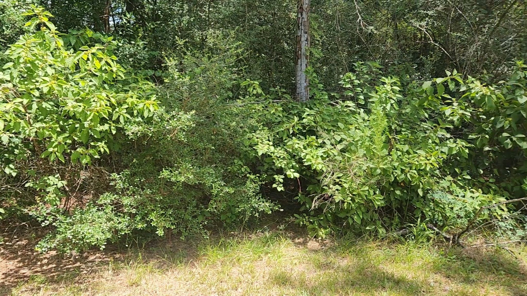 Tbd Terri Lane Property Photo 25