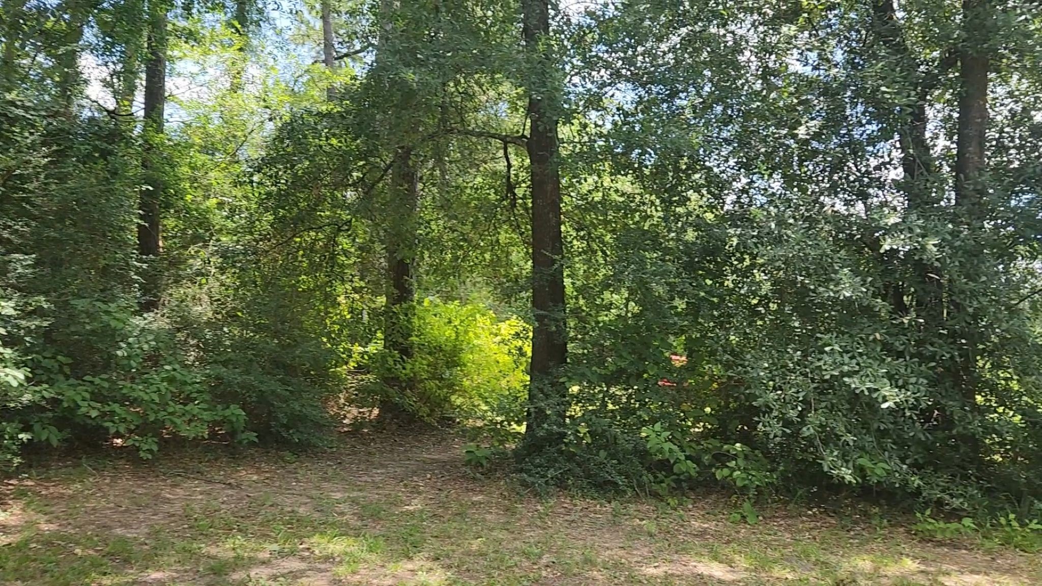 Tbd Terri Lane Property Photo 26