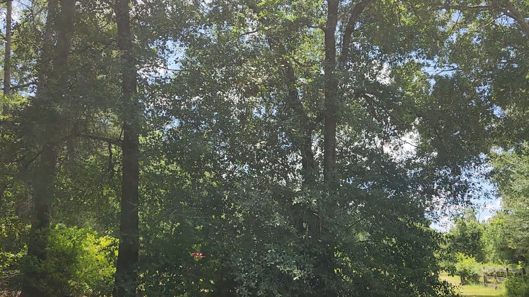 Tbd Terri Lane Property Photo 27
