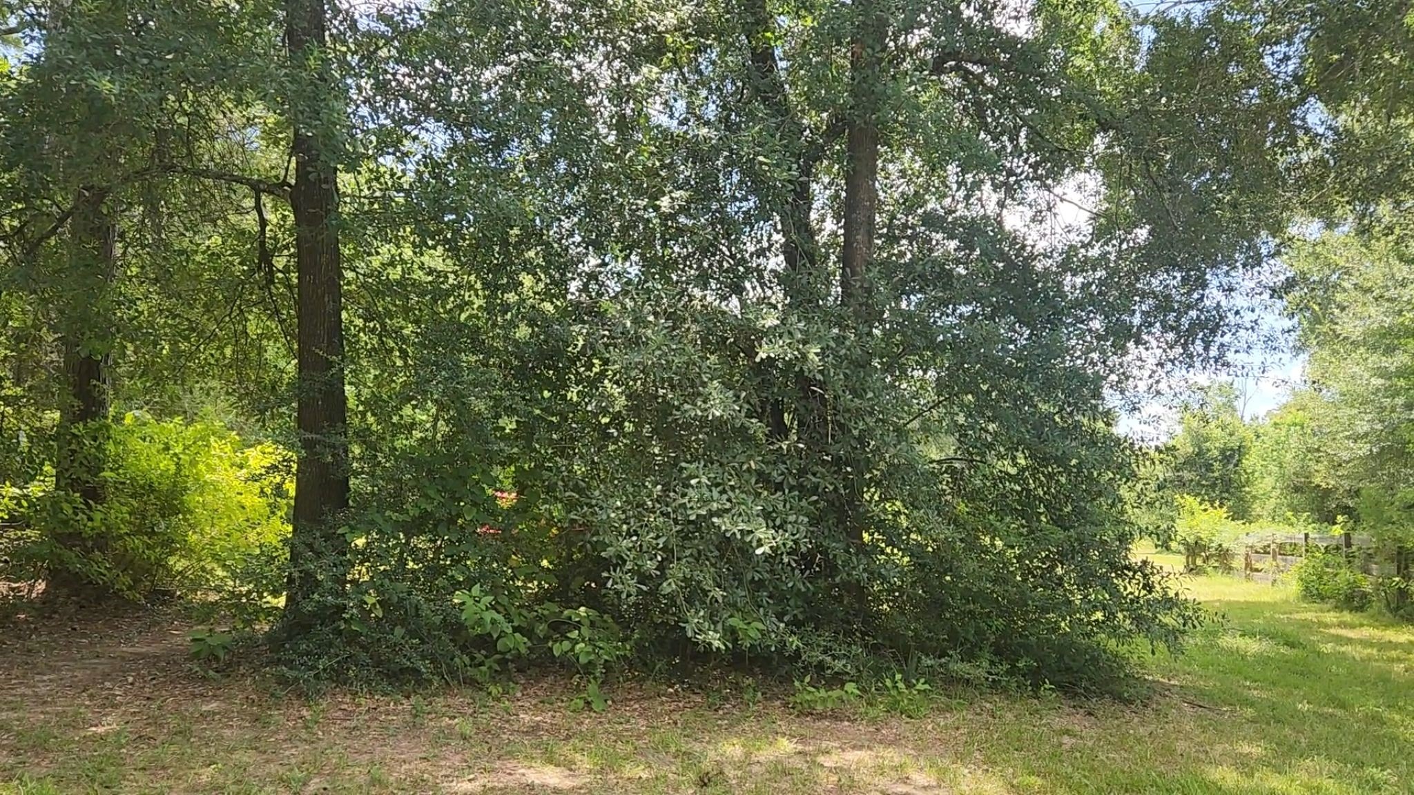 Tbd Terri Lane Property Photo 28