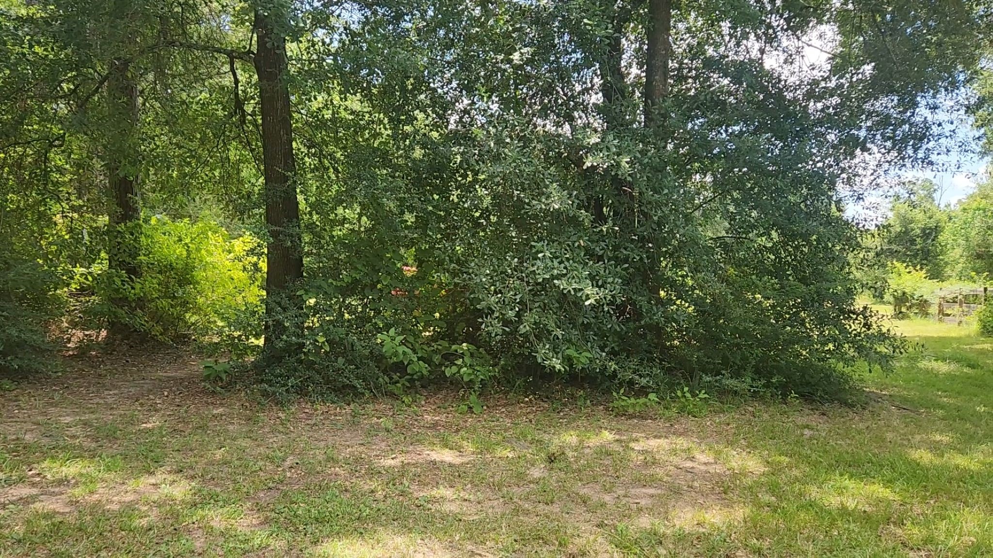 Tbd Terri Lane Property Photo 29