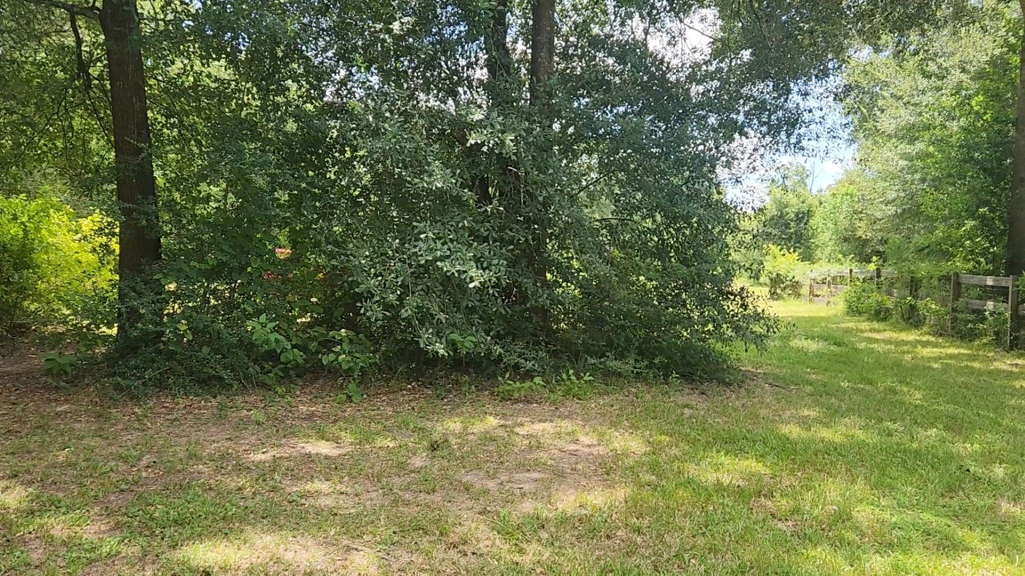 Tbd Terri Lane Property Photo 30