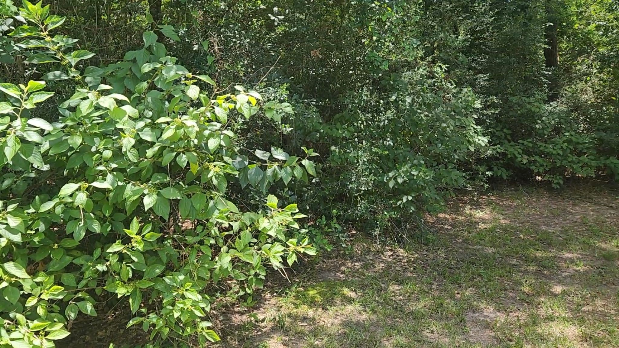 Tbd Terri Lane Property Photo 31
