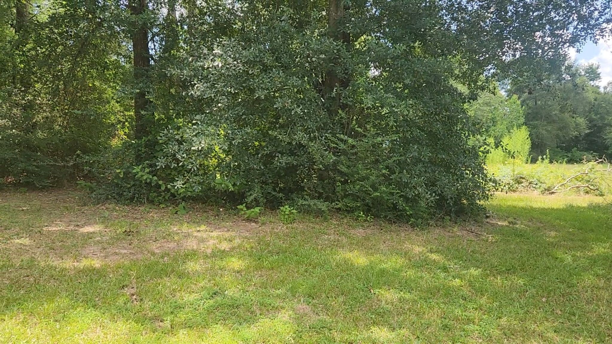 Tbd Terri Lane Property Photo 33