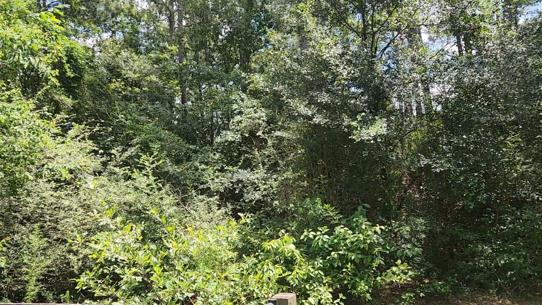 Tbd Terri Lane Property Photo 35