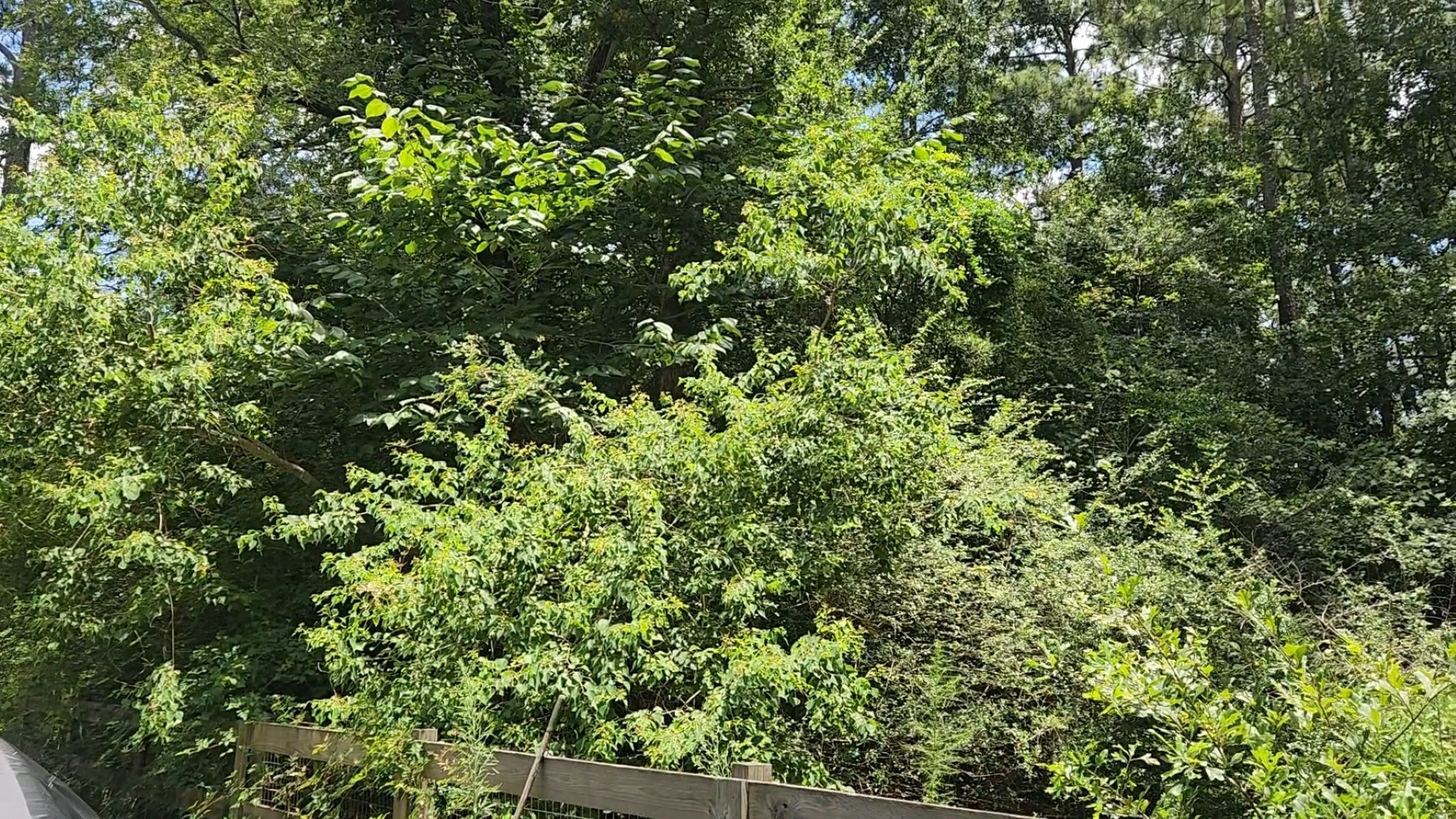 Tbd Terri Lane Property Photo 37
