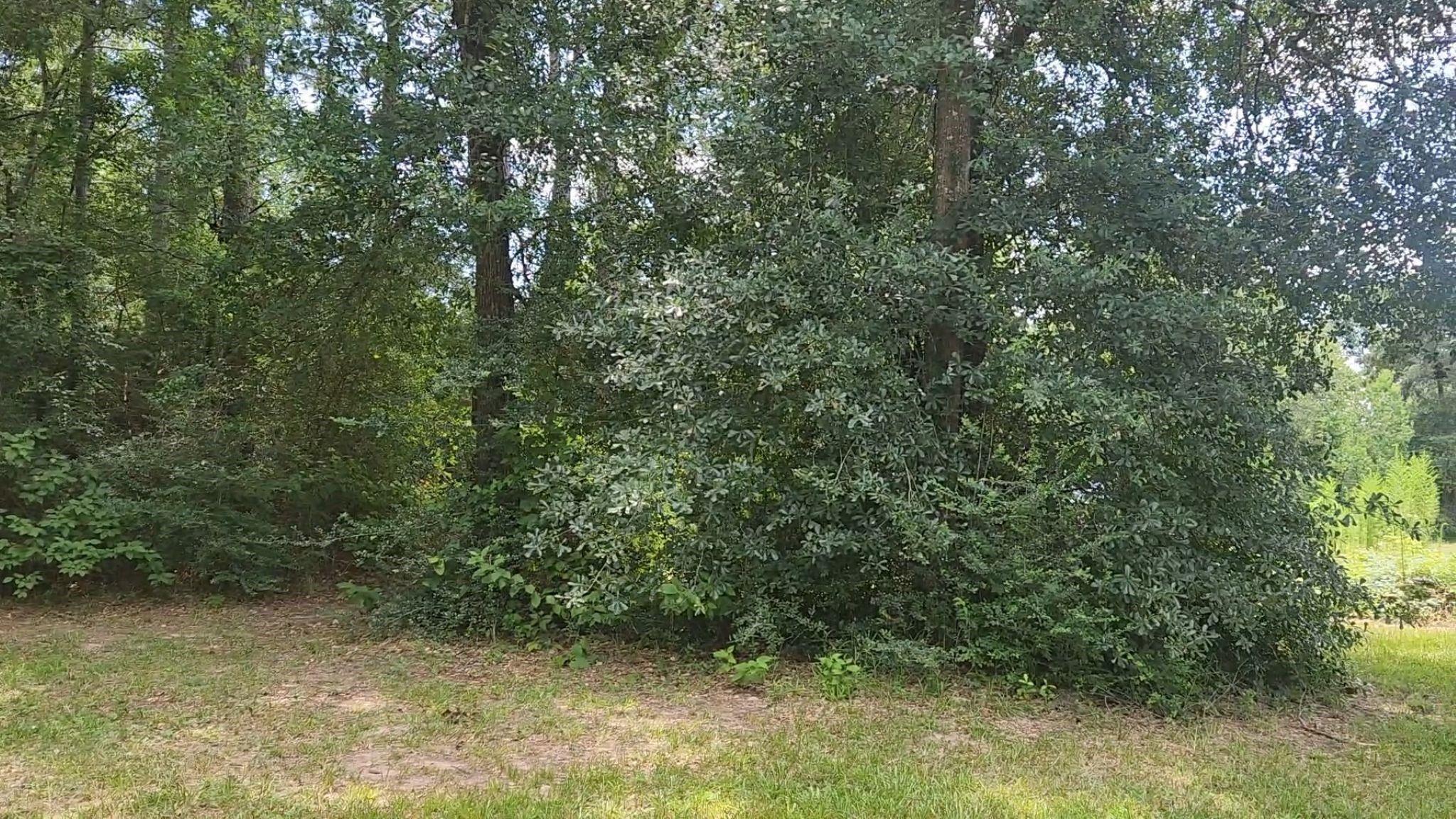 Tbd Terri Lane Property Photo 39