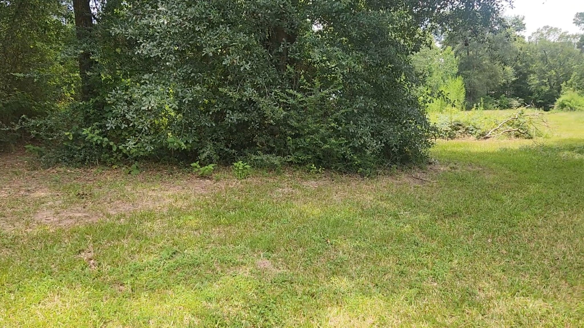 Tbd Terri Lane Property Photo 40