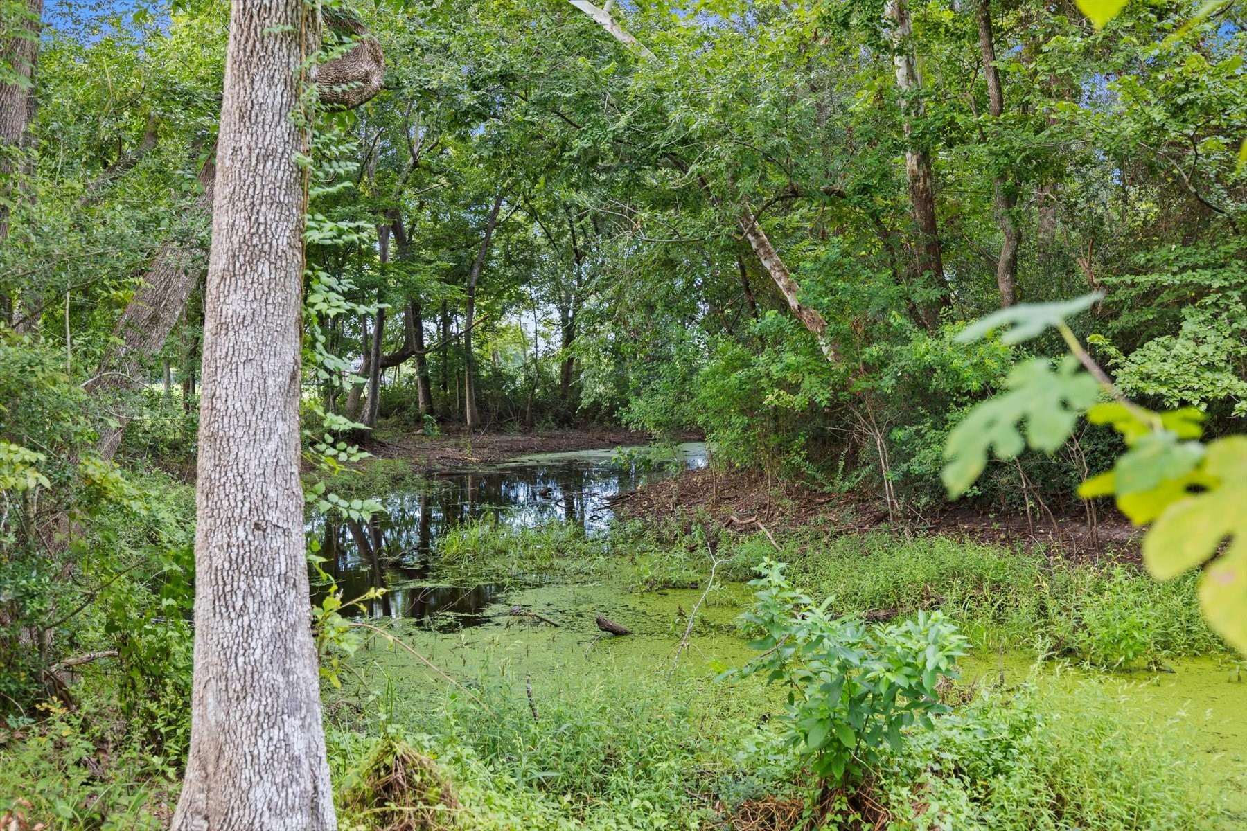 1219 Mcmurtry Ridge Drive Property Photo 45