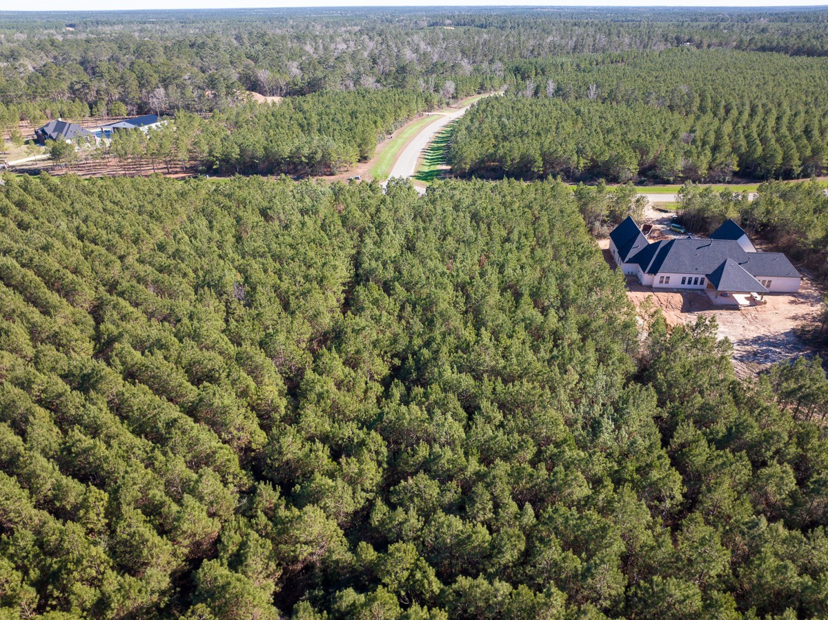 15715 Ridge Rock Road Property Photo 2