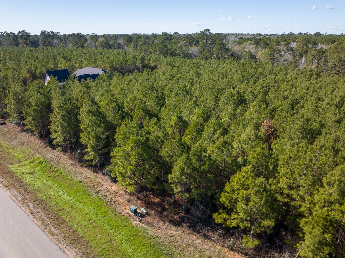 15715 Ridge Rock Road Property Photo 3