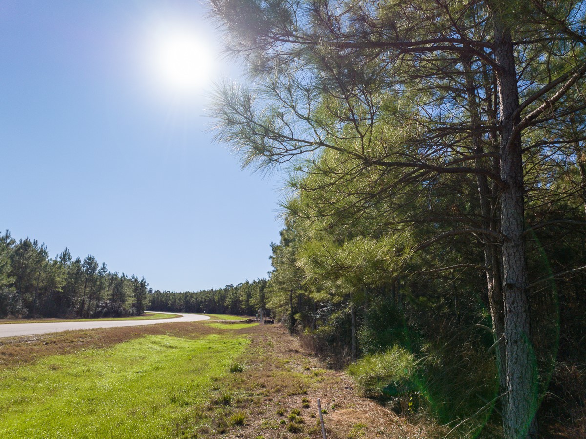 15715 Ridge Rock Road Property Photo 4