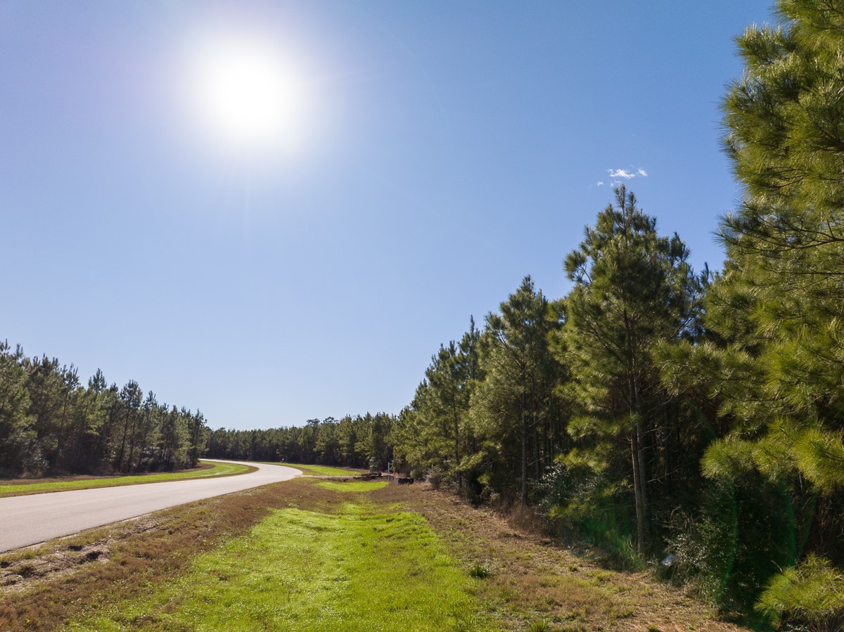 15715 Ridge Rock Road Property Photo 5