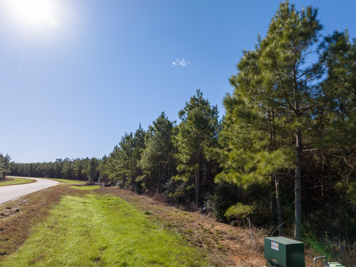 15715 Ridge Rock Road Property Photo 6